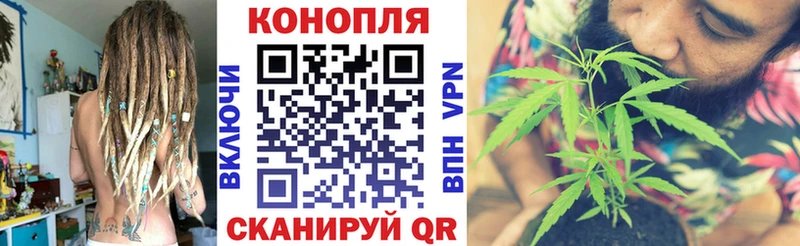 Каннабис индика  Петровск-Забайкальский 